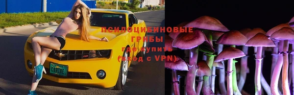 соль ск Мегион