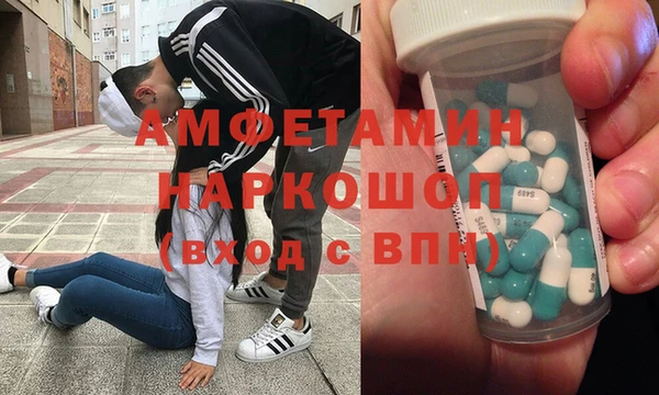 индика Медвежьегорск