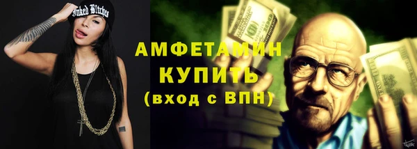 индика Медвежьегорск