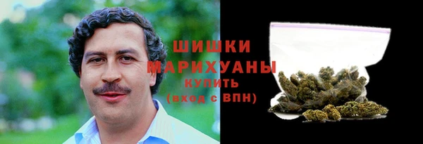 индика Медвежьегорск