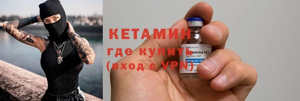индика Медвежьегорск