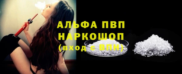 индика Медвежьегорск