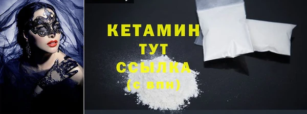 индика Медвежьегорск