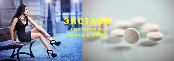 индика Медвежьегорск