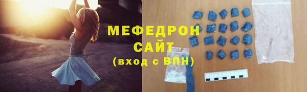 индика Медвежьегорск