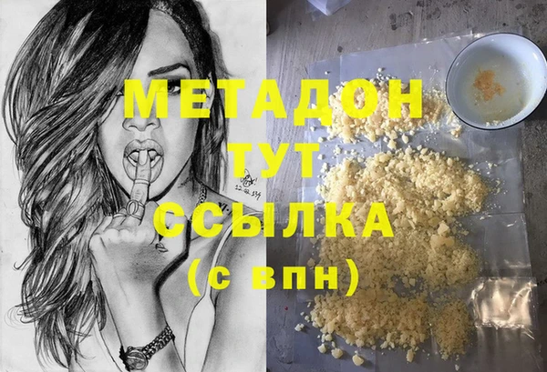 индика Медвежьегорск