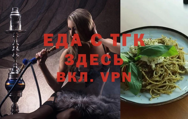 индика Медвежьегорск