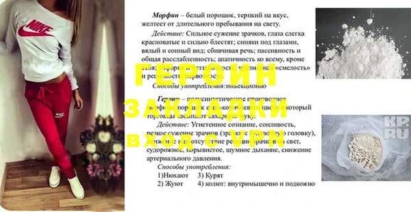 индика Медвежьегорск