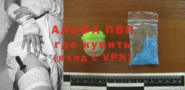 индика Медвежьегорск