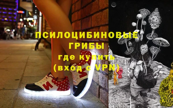 индика Медвежьегорск