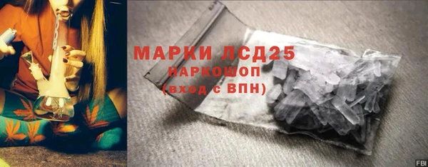 индика Медвежьегорск