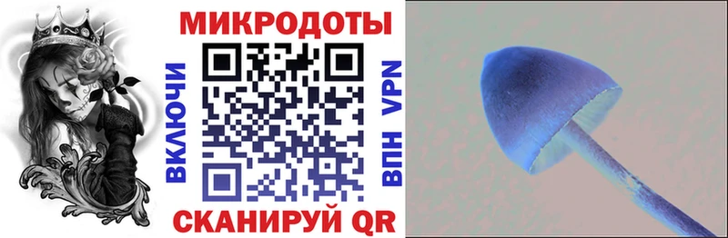 blacksprut ссылки  Пионерский  Галлюциногенные грибы Psilocybe 